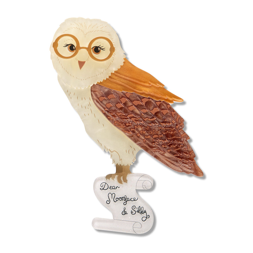 Erstwilder x Fleur Harris Barny Owl Brooch ~ The Magic Faraway Tree 2026 Collection ~