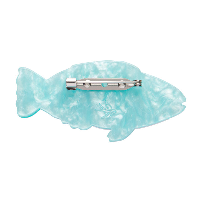 Erstwilder Bleeker's Parrotfish Brooch with Gift Box  ~Great Barrier Reef Collection~