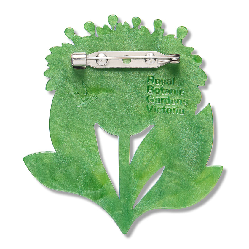 Erstwilder x Royal Botanic Gardens Victoria Blue Pincushion Flower Brooch ~2026 Collection~