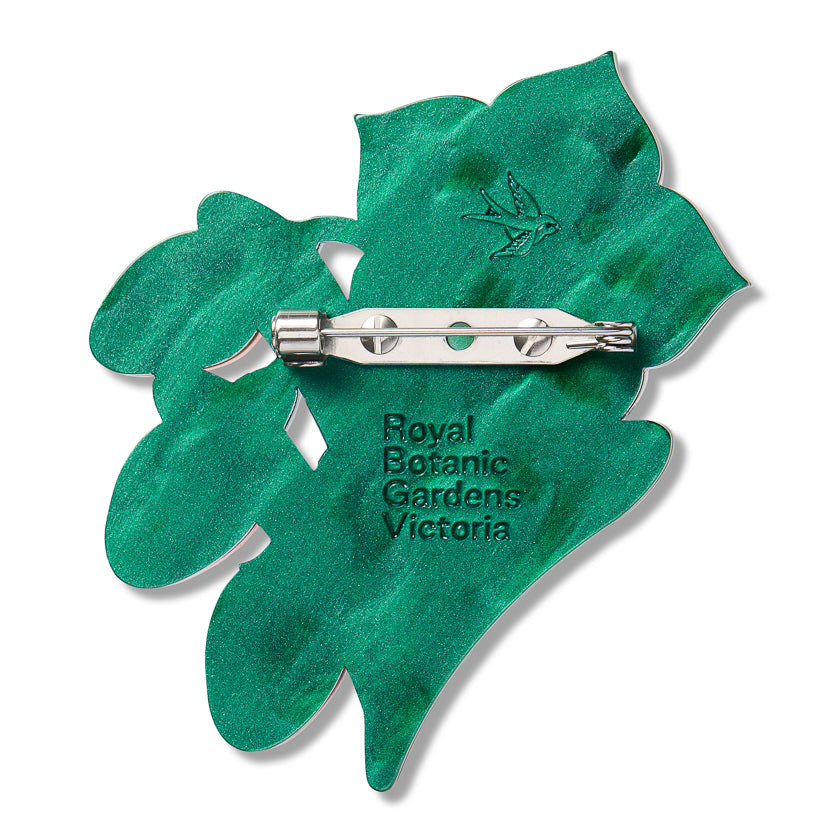 Erstwilder x Royal Botanic Gardens Victoria Kangaroo Apple Flowers & Fruit Brooch ~2026 Collection~