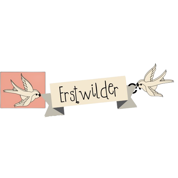 Erstwilder Nestled in Love Birds Brooch ~Sweet Valentine Collection~