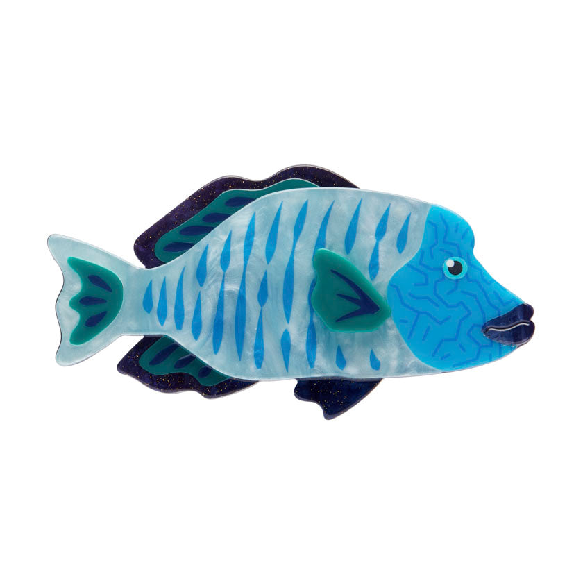 Erstwilder Maori Wrasse Fish Brooch with Gift Box  ~Great Barrier Reef Collection~