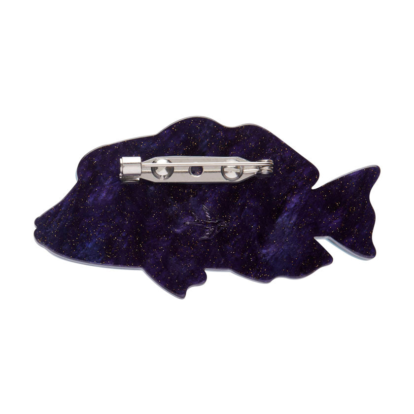 Erstwilder Maori Wrasse Fish Brooch with Gift Box  ~Great Barrier Reef Collection~