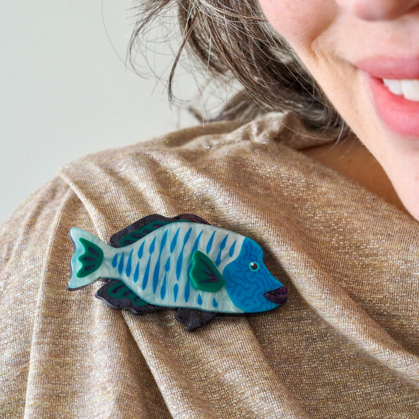 Erstwilder Maori Wrasse Fish Brooch with Gift Box  ~Great Barrier Reef Collection~
