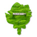 Erstwilder Australia Fair Blooms Brooch ~2026 Celebrations Collection~