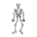 Erstwilder Bag of Bones Brooch *GIFT WITH PURCHASE ONLY*