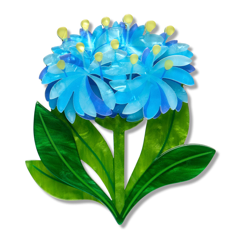 Erstwilder x Royal Botanic Gardens Victoria Blue Pincushion Flower Brooch ~2026 Collection~