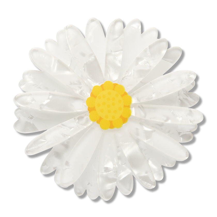 Erstwilder x Royal Botanic Gardens Victoria Cut-Leaf Daisy Large Hair Clip ~2026 Collection~