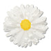 Erstwilder x Royal Botanic Gardens Victoria Cut-Leaf Daisy Large Hair Clip ~2026 Collection~