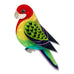 Erstwilder x Royal Botanic Gardens Victoria Eastern Rosella Parrot Brooch ~2026 Collection~
