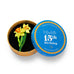 Erstwilder Garden Goddess Daffodil Floral Brooch ~15th Birthday Fan Favorites Collection~
