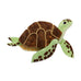 Erstwilder Green Turtle Brooch with Gift Box  ~Great Barrier Reef Collection~