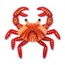 Erstwilder x Brooke Sutton Karntat Crab Brooch ~ 2026 Collection ~