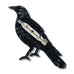 Erstwilder x Brooke Sutton Kulpurru Magpie Brooch ~ 2026 Collection ~