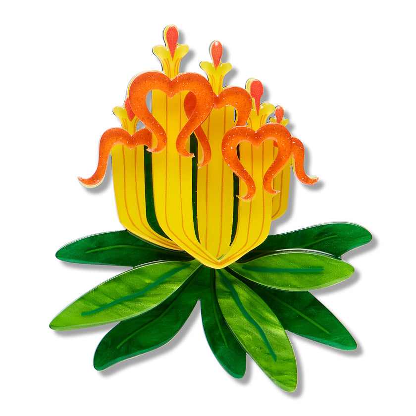 Erstwilder x Royal Botanic Gardens Victoria Long-Flower Mistletoe Brooch ~2026 Collection~