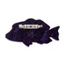 Erstwilder Maori Wrasse Fish Brooch with Gift Box  ~Great Barrier Reef Collection~