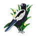 Erstwilder Max the Magpie Bird Brooch ~Australiana Collection~