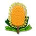 Erstwilder x Royal Botanic Gardens Victoria Mountain Banksia Brooch ~2026 Collection~
