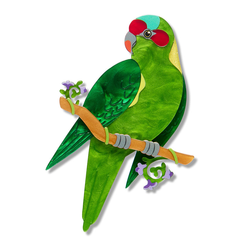Erstwilder x Royal Botanic Gardens Victoria Musk Lorikeet Bird Brooch ~2026 Collection~