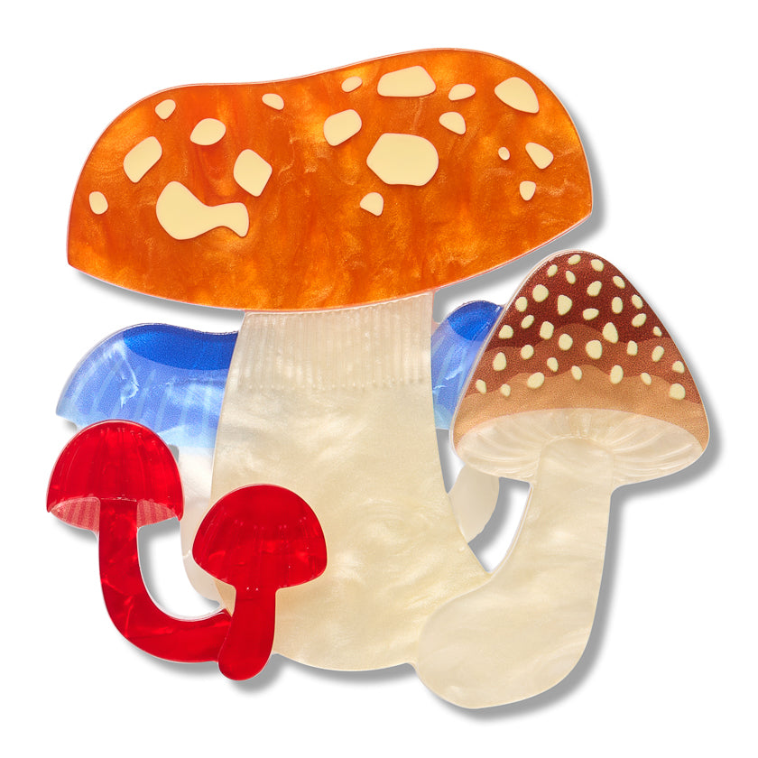 Erstwilder x Royal Botanic Gardens Victoria Native Mushroom Medley Brooch ~2026 Collection~