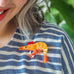 Erstwilder Pascal the Prawn Brooch ~Merry Menagerie Collection~