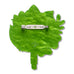 Erstwilder Petals For Keeps Floral Brooch ~2026 Celebrations Collection~