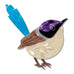 Erstwilder Purple-Crowned Fairy Wren Brooch ~ 2026 The Rarest Kind Collection ~