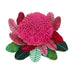 Erstwilder "Shady Lady Red" Waratah Flower Brooch with Gift Box