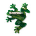 Erstwilder x Brooke Sutton Tjawan Ritjinguthinha (Frog Dreaming) Brooch ~ 2026 Collection ~