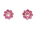 Tarina Tarantino Classic Flower Post Earrings (Cotton Candy) - Belle Fleur Boutique