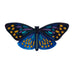 Erstwilder "Set Yourself Free Butterfly" Hair Clip Barrette with Gift Box